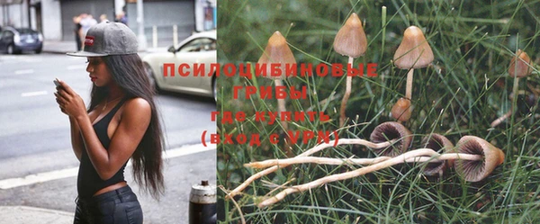 ECSTASY Осташков