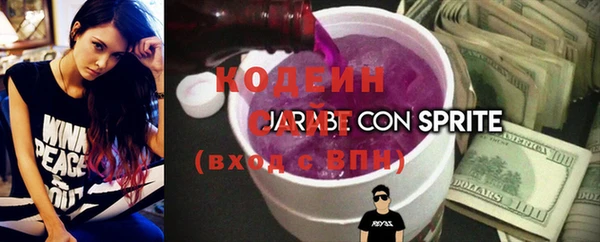 соль ск Осинники