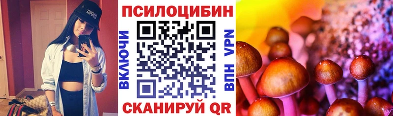 площадка какой сайт где купить наркоту Набережные Челны Галлюциногенные грибы мухоморы