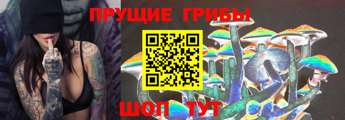 Псилоцибиновые грибы Psilocybine cubensis  Галлюциногенные грибы мицелий  Набережные Челны 