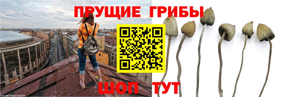 Псилоцибиновые грибы Magic Shrooms Набережные Челны