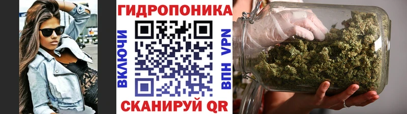 Бошки марихуана SATIVA & INDICA  OMG маркетплейс  Набережные Челны 